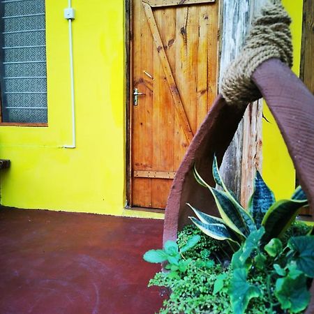 Shanka Lodge Zanzibar Kizimkazi Eksteriør billede