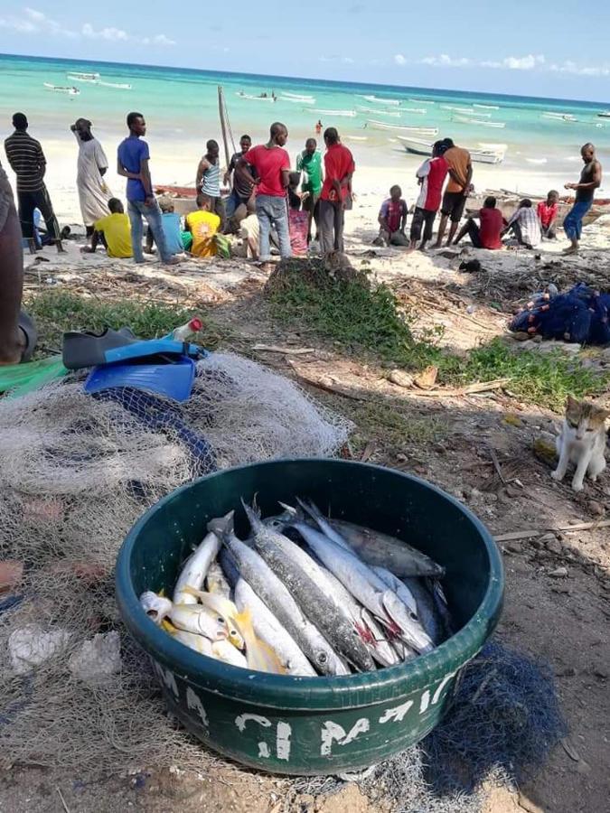 Shanka Lodge Zanzibar Kizimkazi Eksteriør billede